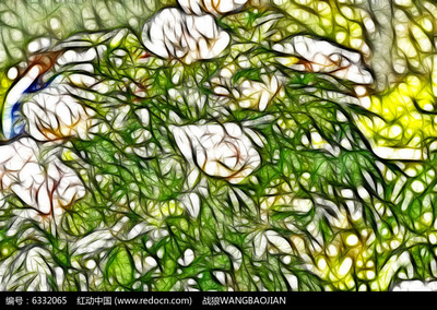 花影与钢骨 当白色牡丹艺术画邂逅健身器材